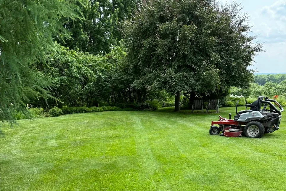 Tondeuse utilisée sur une grande pelouse résidentielle