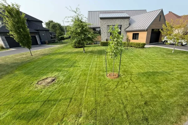 Propriété résidentielle entretenue en été