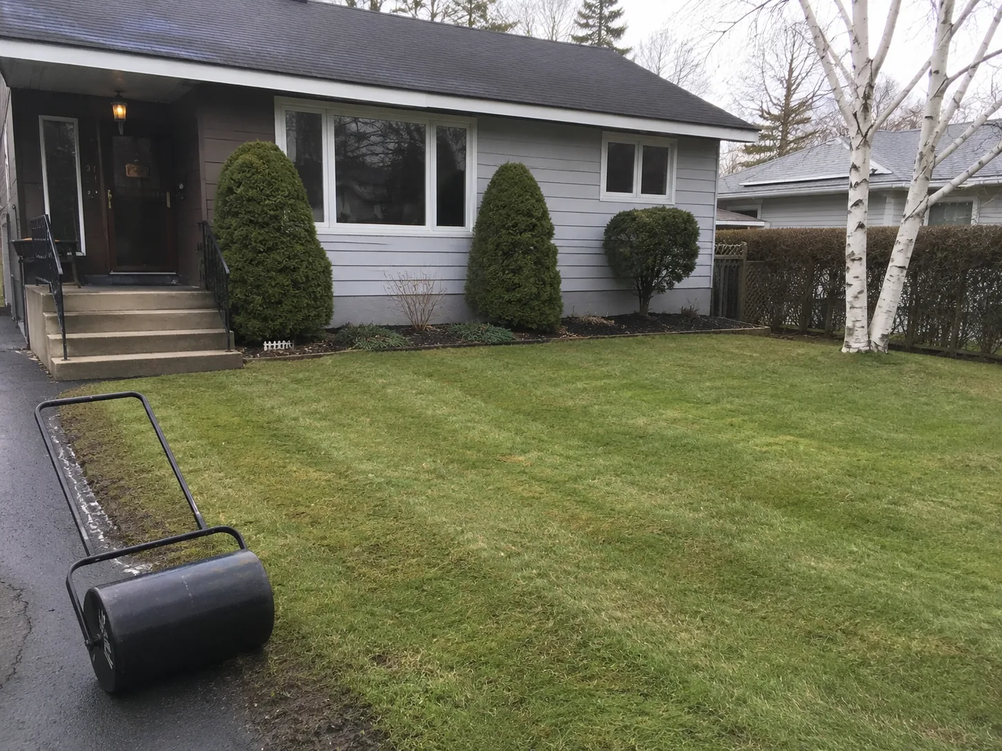 Rouleau à gazon installé sur une pelouse résidentielle