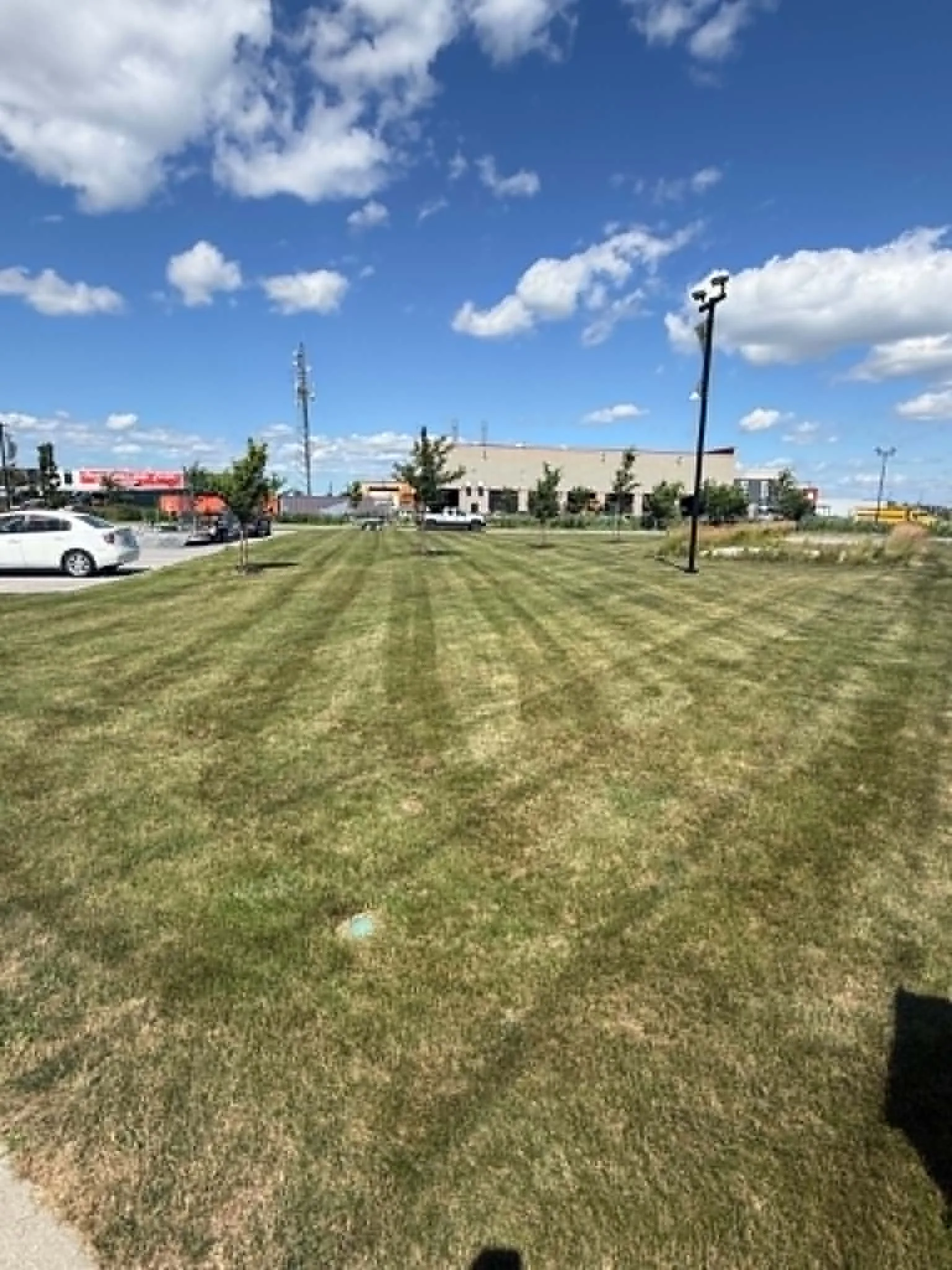Terrain gazonné entretenu près d’une rue résidentielle